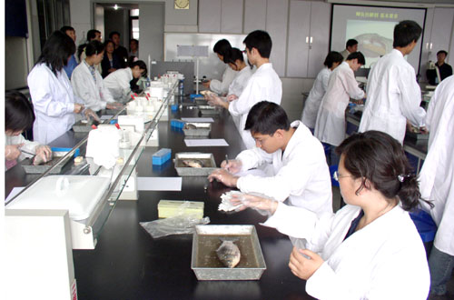 市首届大学生生命科学基本实验技能竞赛在南开