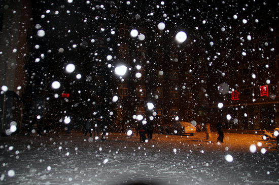 【组图】春夜落雪南开园