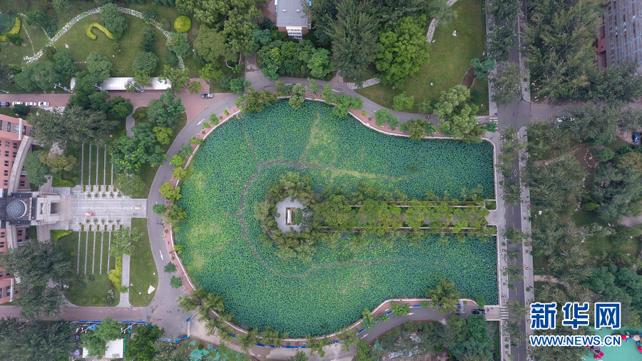 新华网:航拍天津南开大学马蹄湖