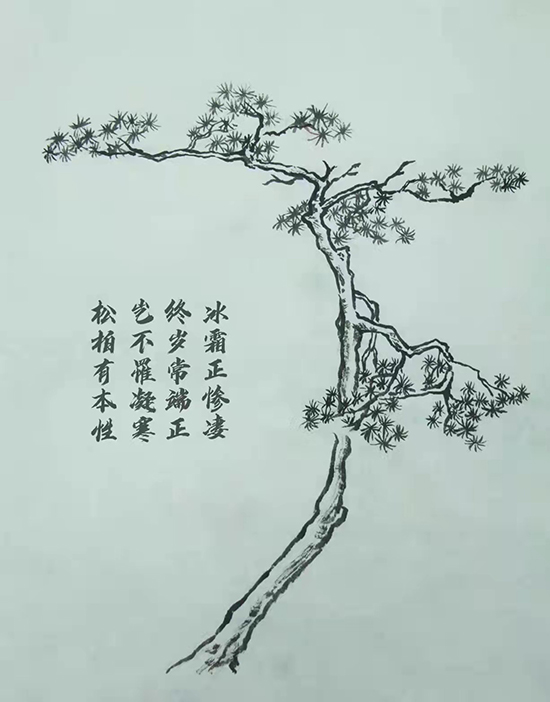 植树节“遥共此诗心”：南开学子“柳”“竹”“松”诗画寄庄浪-多彩校园-南开大学